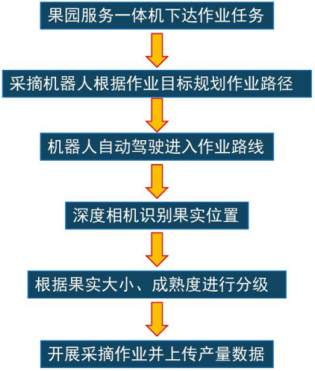 定制开发智能采摘机器人流程图